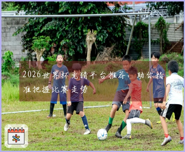 2026世界杯竞猜平台推荐，助你精准把握比赛走势