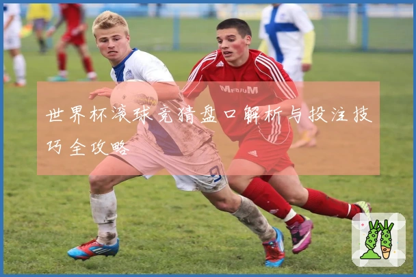 世界杯滚球竞猜盘口解析与投注技巧全攻略