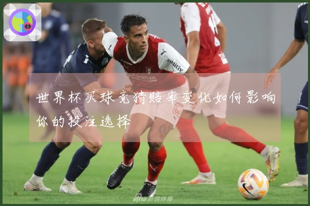 世界杯买球竞猜赔率变化如何影响你的投注选择