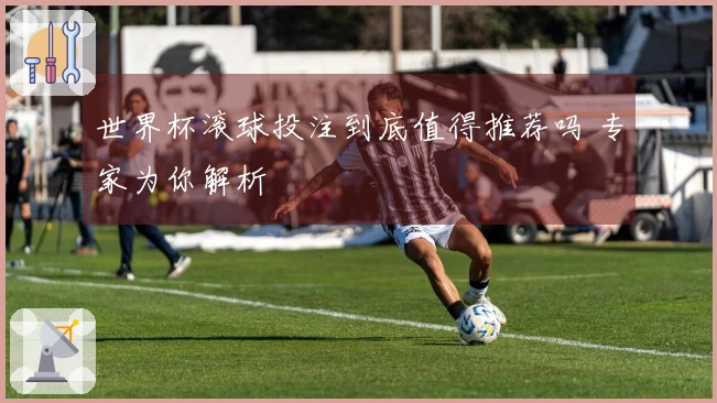 世界杯滚球投注到底值得推荐吗 专家为你解析