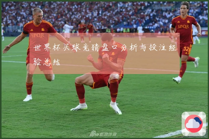 世界杯买球竞猜盘口分析与投注经验总结