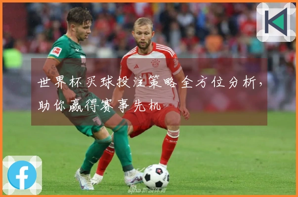 世界杯买球投注策略全方位分析，助你赢得赛事先机