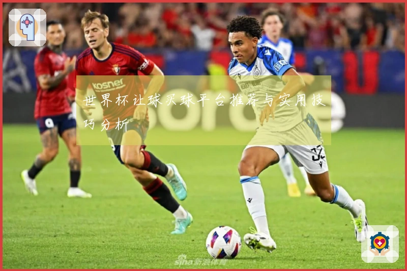 世界杯让球买球平台推荐与实用技巧分析