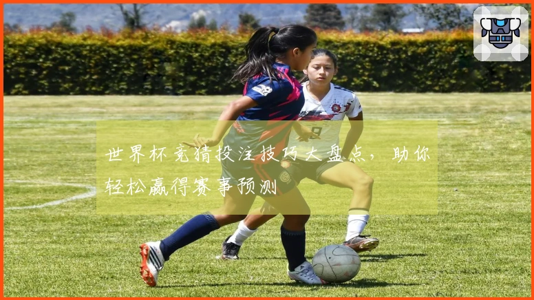 世界杯竞猜投注技巧大盘点，助你轻松赢得赛事预测