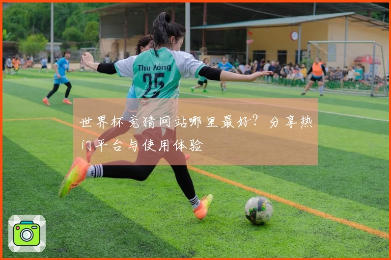 世界杯竞猜网站哪里最好？分享热门平台与使用体验