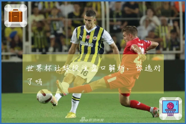 世界杯让球投注盘口解析，你选对了吗