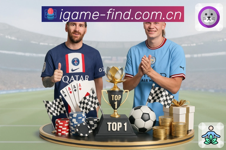 回放与集锦入口